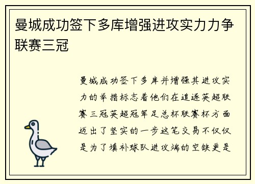 曼城成功签下多库增强进攻实力力争联赛三冠 曼城成功签下多库增强进攻实力力争联赛三冠